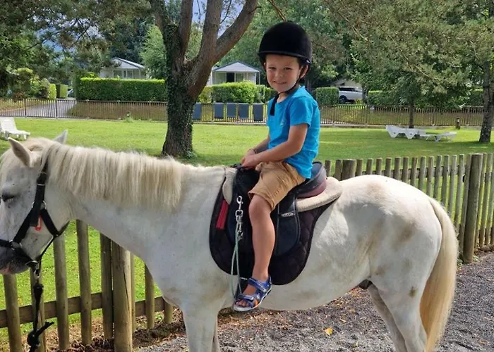 Mobil Avec Terrasse Pour 5 Personnes - Api-1-52-1299